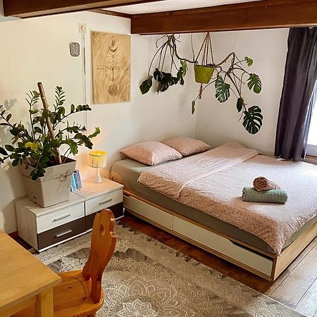 Cozy Room In An Old Farmhouse Near Vaduz Sevelen Екстер'єр фото