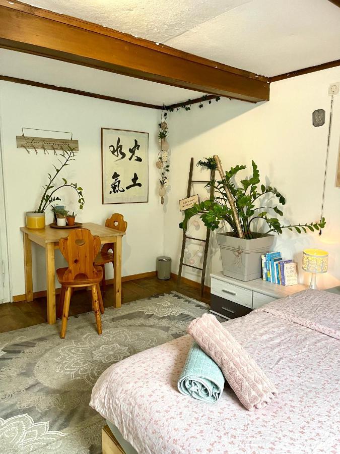 Cozy Room In An Old Farmhouse Near Vaduz Sevelen Екстер'єр фото