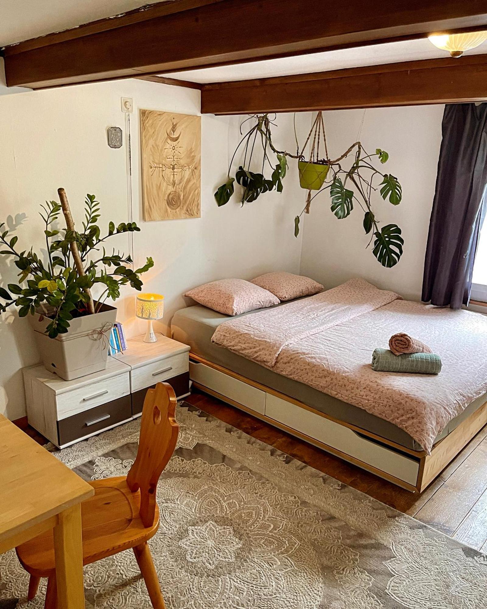 Cozy Room In An Old Farmhouse Near Vaduz Sevelen Екстер'єр фото